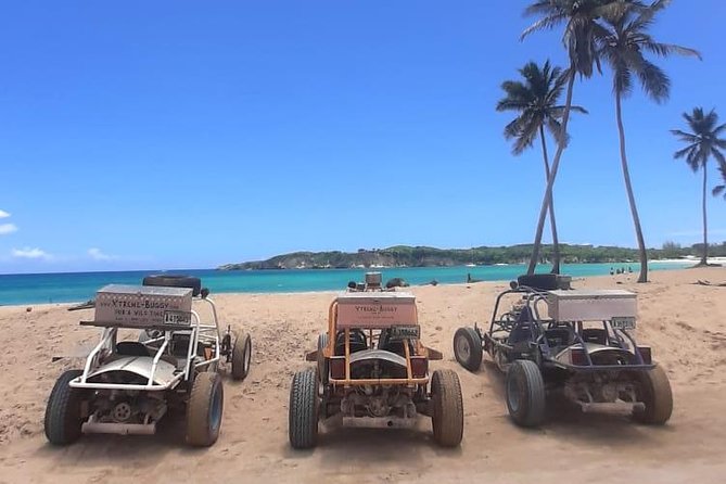 Xtreme Buggy 4 hours Dune Buggy & Country side experience - Quick hits you’ll feel on day-of